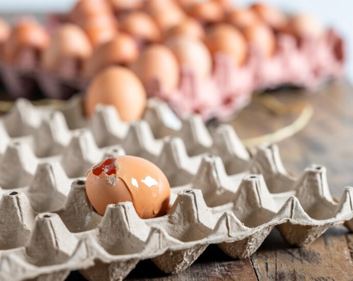 Broken egg leaking in carton with whole eggs in background