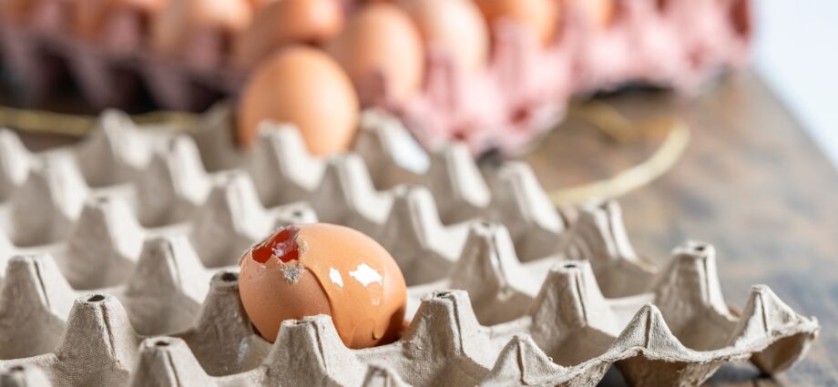 Broken egg leaking in carton with whole eggs in background
