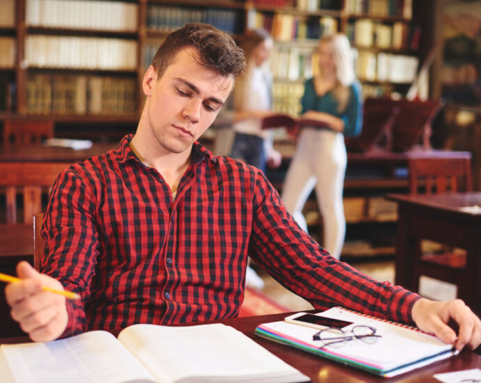 déroulement cursus LAS