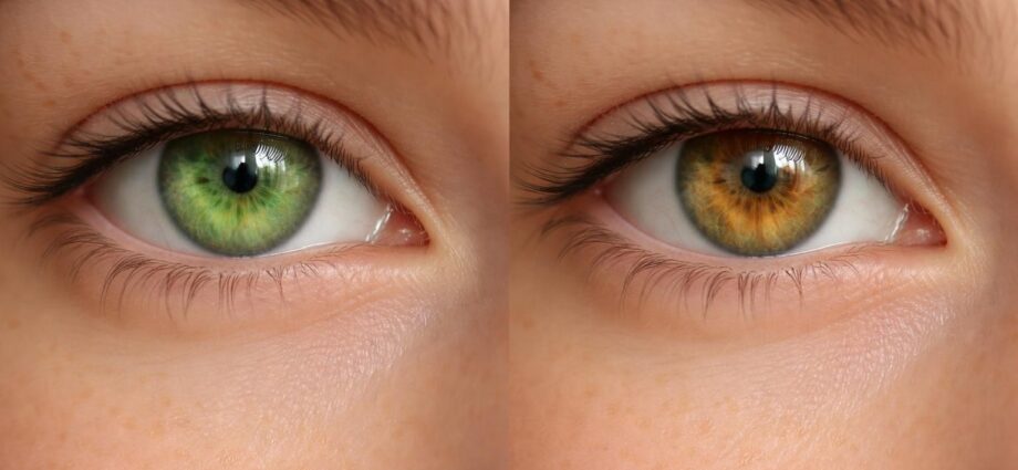 découvrez les différences entre les yeux vert pur et les yeux vert hazel, leurs caractéristiques uniques et leur beauté naturelle.
