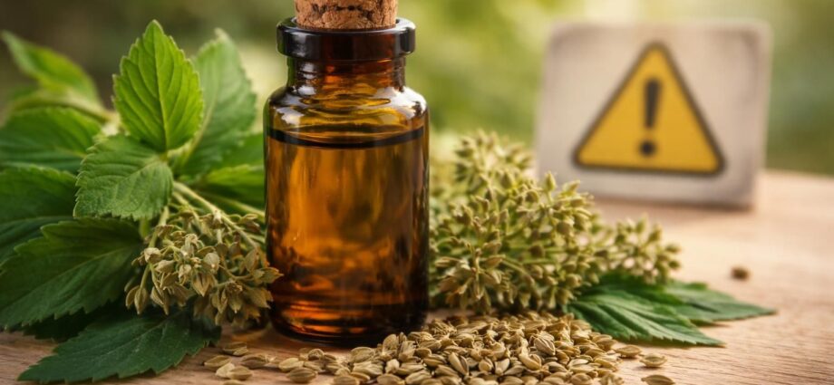 découvrez les risques liés à l'utilisation de l'anis vert et les précautions essentielles à prendre pour éviter tout danger.
